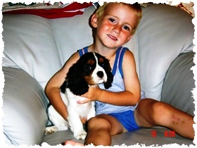 cavalier king charles spániel